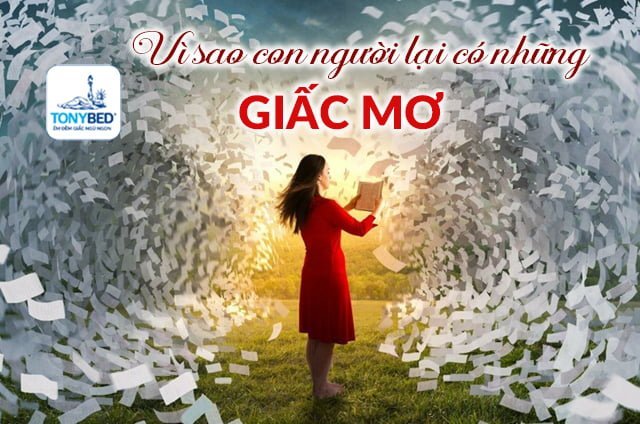 Lý do người ta ngủ mơ
