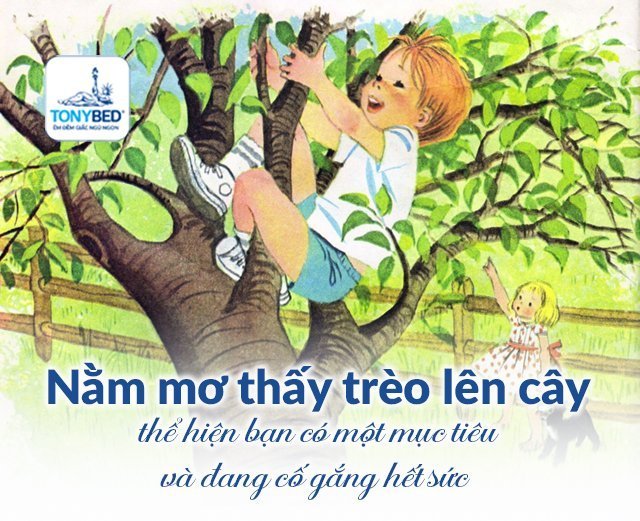 Mơ thấy mình đang leo cây