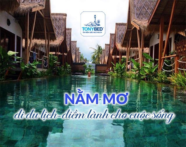 Nằm mơ thấy đi du lịch
