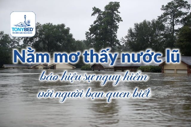 Ngủ mơ thấy lũ lụt