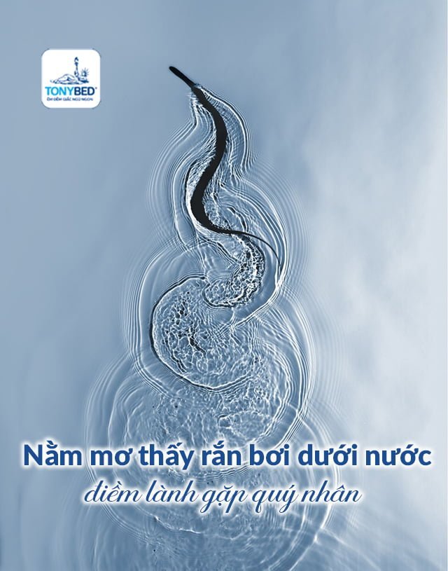 Nằm mơ thấy rắn