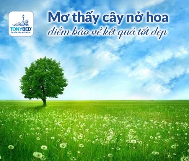 Ngủ mơ thấy cây ra hoa kết trái