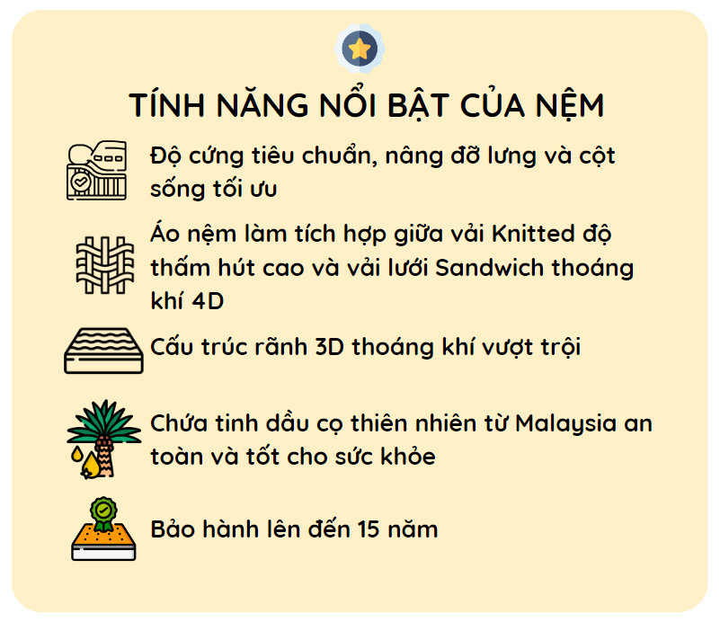 Nệm cao su dầu cọ nằm mát lưng