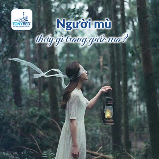 Người mù thường thấy gì trong giấc mơ