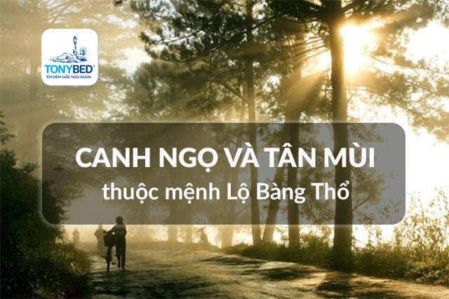 Những người sinh năm canh ngọ và tân mùi thuộc mệnh Lộ Bàng Thổ
