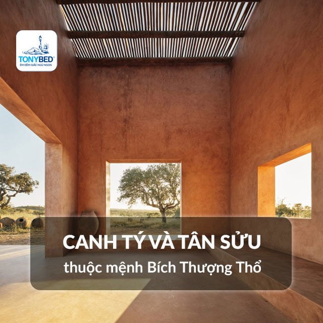 Những người sinh năm Canh Tý và Tân Sửu thuộc mệnh Bích Thượng Thổ