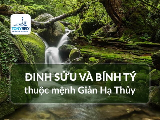 Đinh Sửu và Bính Tý thuộc mệnh Giản hạ Thủy
