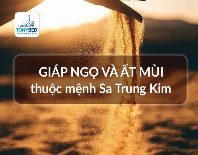 Mệnh Sa Trung Kim sinh vào năm nào