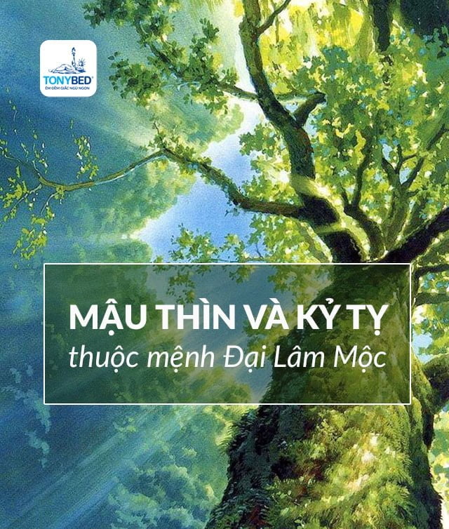 Người sinh năm Mậu Thìn và Kỷ Tỵ thuộc Mệnh Đại Lâm Mộc