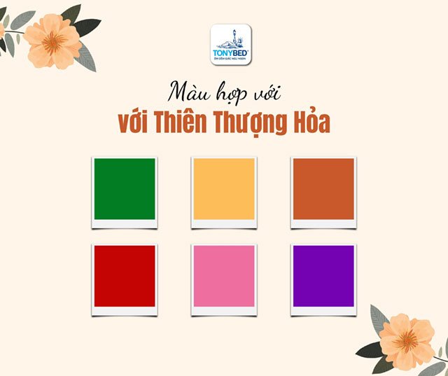 Các tông màu hợp với mệnh Thiên Thượng Hỏa
