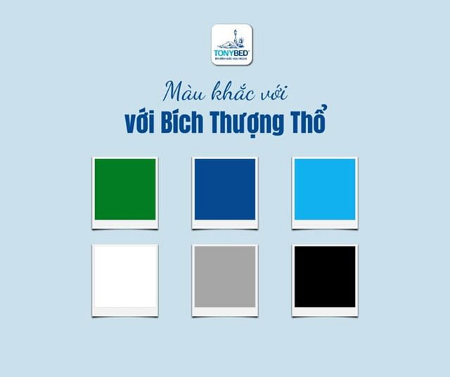 Màu khắc với mệnh Bích Thượng Thổ
