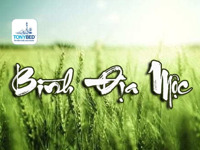 Mệnh Bình Địa Mộc