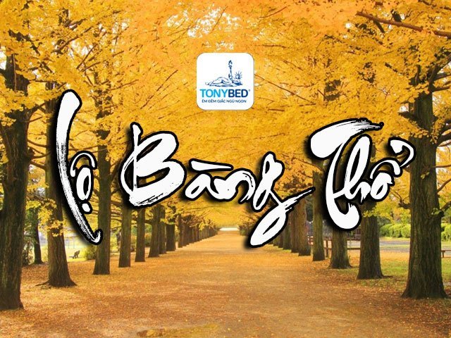 Mệnh Lộ Bàng Thổ
