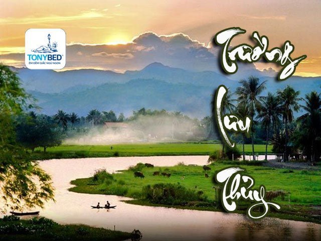 Mệnh Trường Lưu Thủy