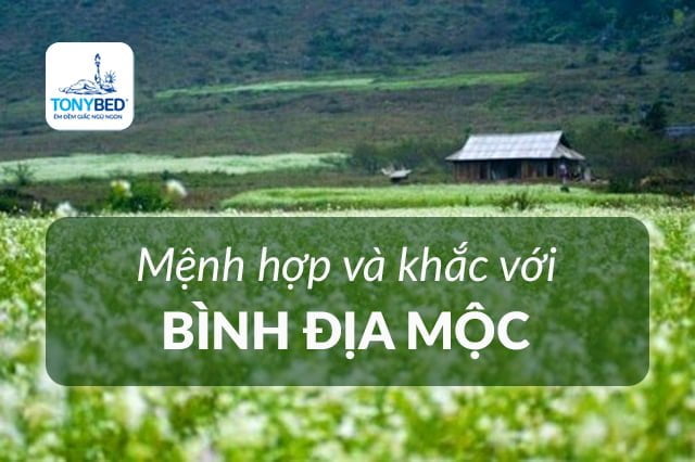 Bình Địa Mộc hợp mệnh nào nhất