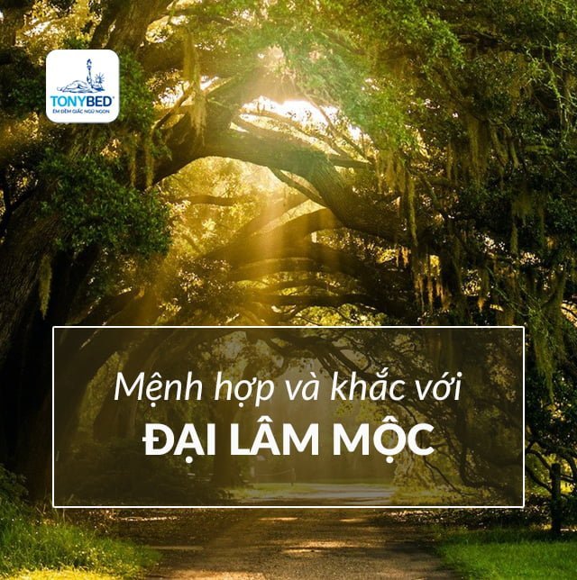 Mệnh hợp và khắc với Đại Lâm Mộc