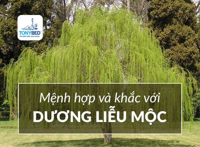 Mệnh hợp và khắc với mệnh Dương Liễu Mộc