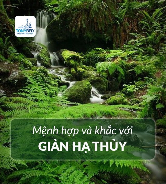 Mệnh Giản Hạ Thủy hợp và kỵ với mệnh nào?