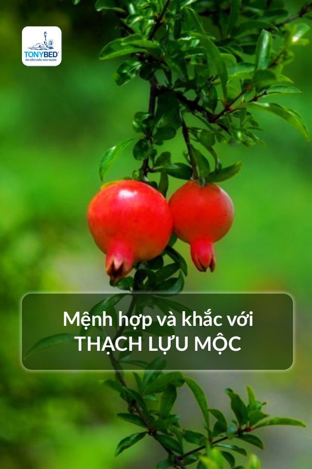 Các mệnh hợp và xung khắc với Mênh Thạch Lựu Mộc
