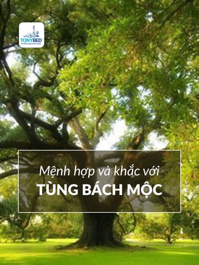 Mệnh hợp và khắc với mệnh Tùng Bách Mộc