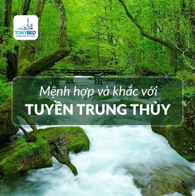 Các mệnh cách hợp và xung khắc với Tuyền Trung Thủy