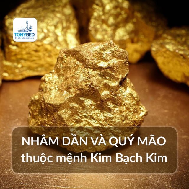 Mệnh Kim Bạch Kim sinh vào năm nào