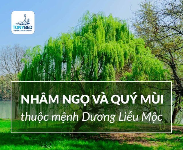 Người sinh năm Nhâm Ngọ và Quý Mùi đều thuộc mệnh Dương Liễu Mộc