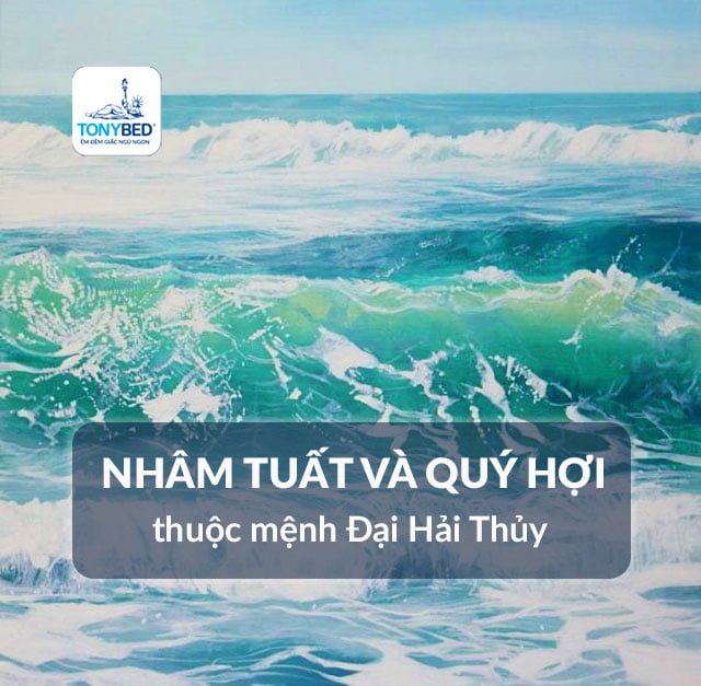 Người sinh vào các năm Nhâm Tuất và Quý Hợi thuộc mênh Đại Hải Thủy