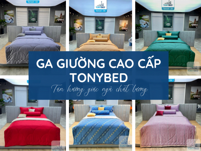 Màu sắc phù hợp cho người Bạch Lạp Kim khi mua chăn ga gối