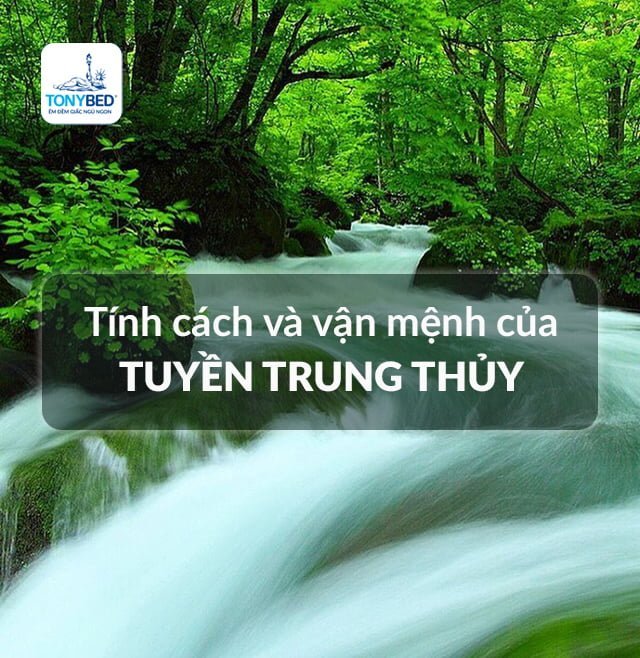 Tính cách, vận mệnh, tình duyên, sự nghiệp Tuyền Trung Thủy