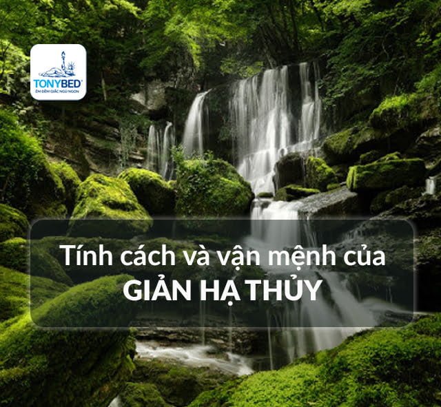 Tính cách và vận mệnh Giản Hạ Thủy