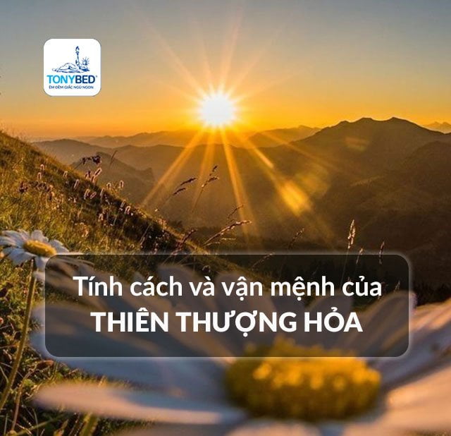 Tính cách, tình duyên, sự nghiệp Thiên Thượng Hỏa