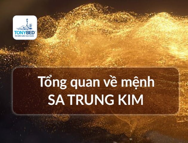 Mệnh Sa Trung Kim là gì? Tổng quan về mệnh Sa Trung Kim