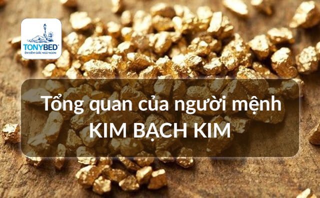 Tổng quan về mệnh Kim Bạch Kim
