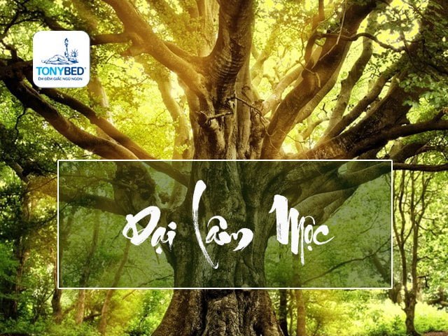 Ý nghĩa Mệnh Đại Lâm Mộc