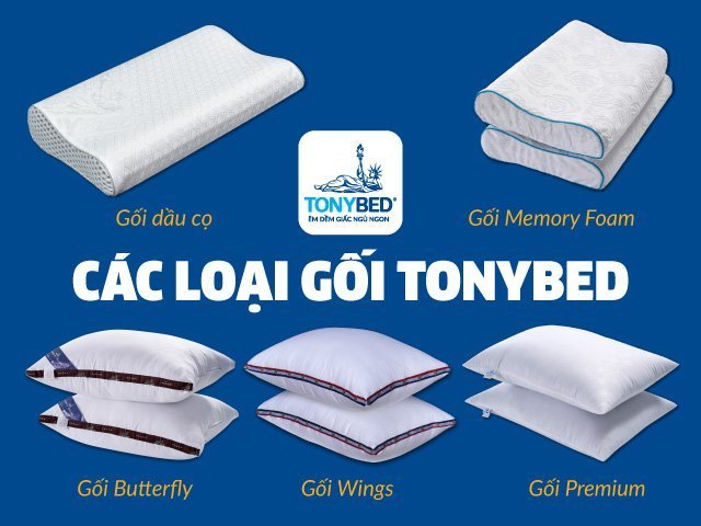 Các loại gối cao cấp Tonybed