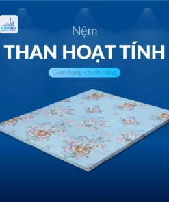 Nệm than hoạt tính màu xanh Tonybed