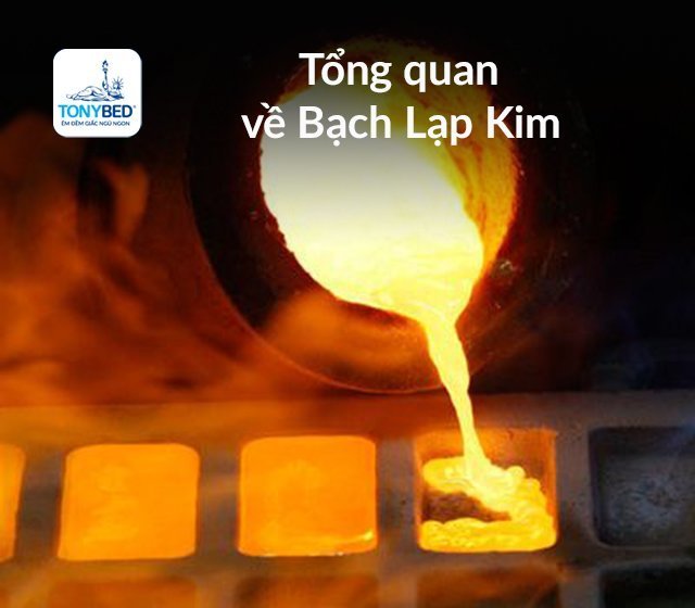 Ý nghĩa của Bạch Lạp Kim