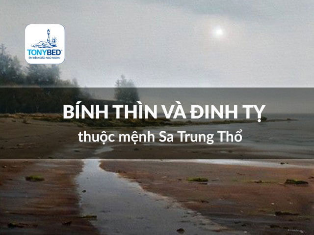 Bính Thìn và Đinh Tỵ thuộc Sa Trung Thổ