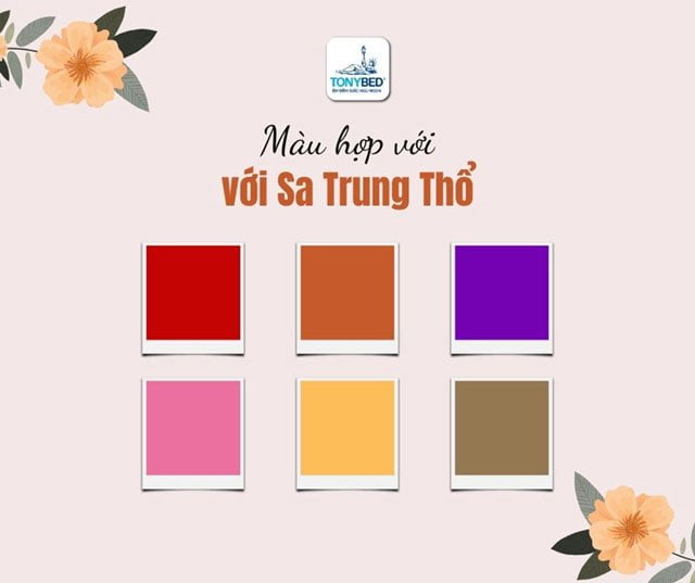Màu sắc hợp với mệnh Sa Trung Thổ