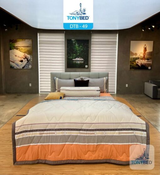 Bộ Drap Ga Trải Giường Tencel Bông - DTB49