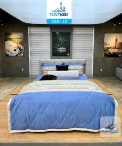 Bộ Drap Ga Trải Giường Tencel Bông - DTB50