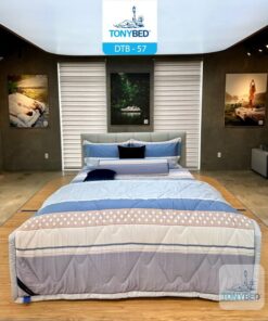 Bộ Drap Ga Trải Giường Tencel Bông - DTB57