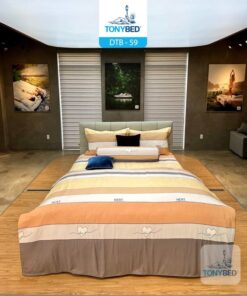Bộ Drap Ga Trải Giường Tencel Bông - DTB59