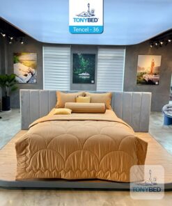 Bộ Drap Ga Trải Giường Tencel Màu – TCM36