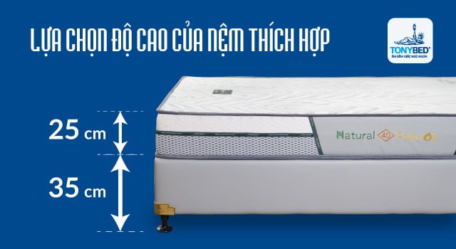 Chọn độ cao nệm thích hợp với giường ngủ