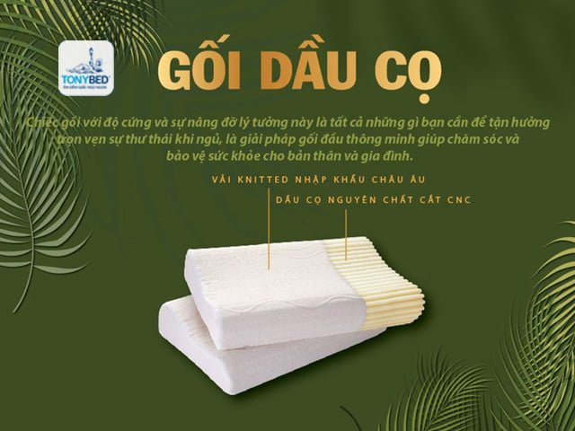 Gối dầu cọ Tonybed