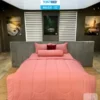 Bộ drap ga trải giường modal 32