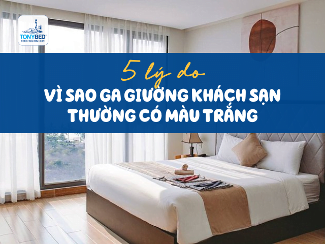 Vì sao ga giường khách sạn có màu trắng