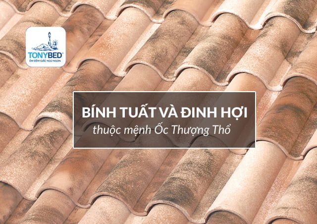 Bính Tuất và Đinh Hợi thuộc Ốc Thượng Thổ